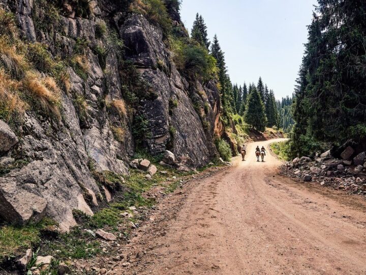 Najpiękniejsze szlaki w Bieszczadach: top 5 tras dla każdego