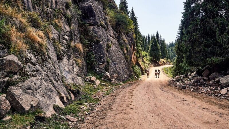 Najpiękniejsze szlaki w Bieszczadach: top 5 tras dla każdego