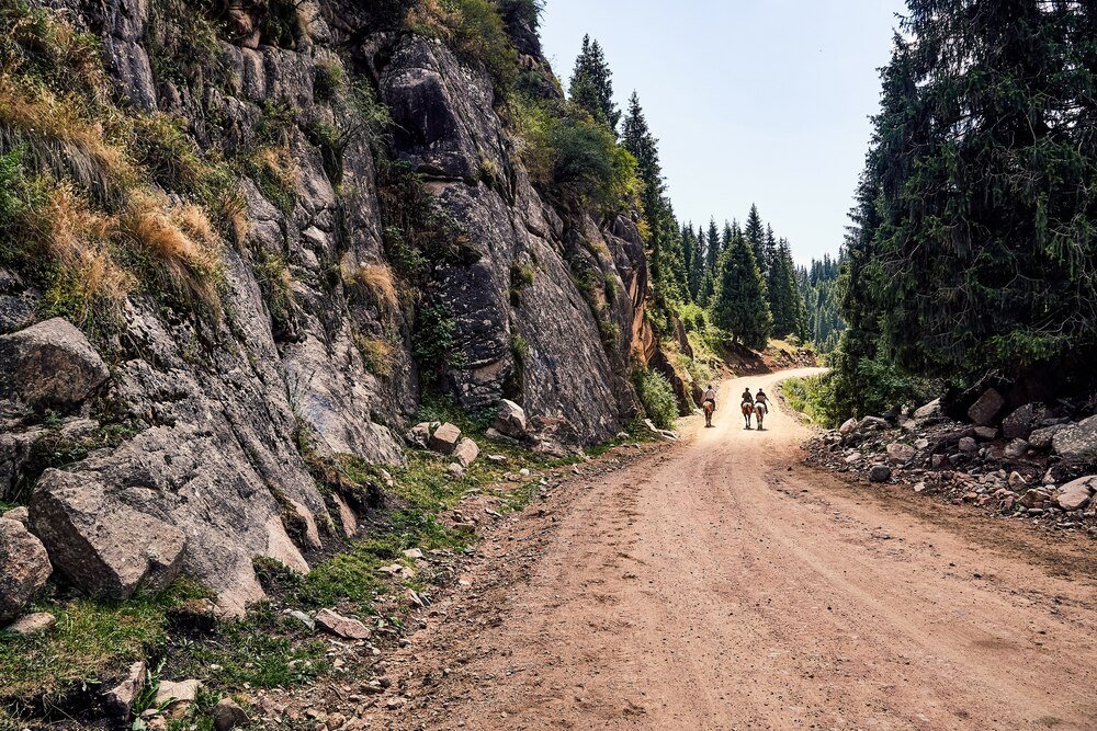 Najpiękniejsze szlaki w Bieszczadach: top 5 tras dla każdego