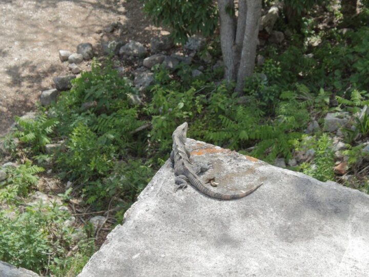 Kjeragbolten: Wiszący Kamień w Norwegii – Trasa i Atrakcje