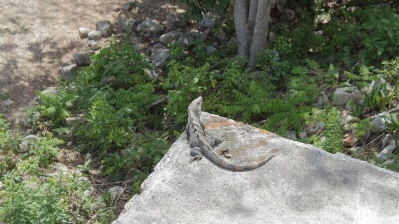 Kjeragbolten: Wiszący Kamień w Norwegii – Trasa i Atrakcje