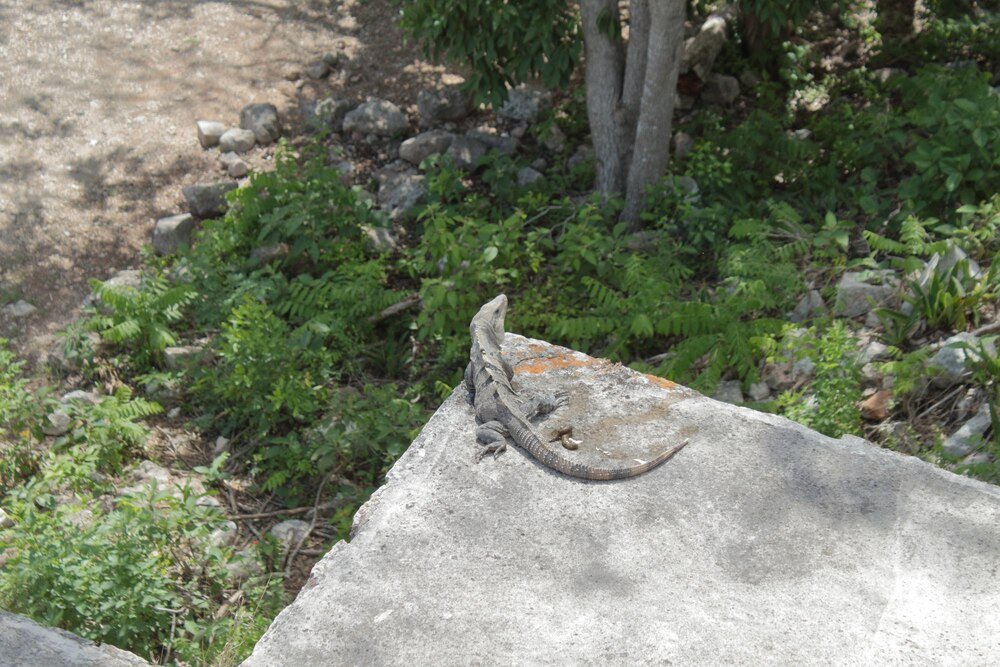 Kjeragbolten: Wiszący Kamień w Norwegii – Trasa i Atrakcje