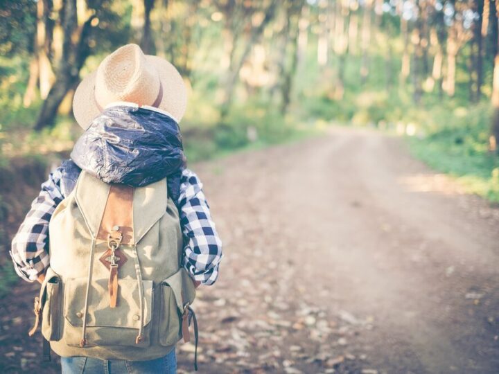 Wycieczki jednodniowe z Rzeszowa – idealny plan na weekend