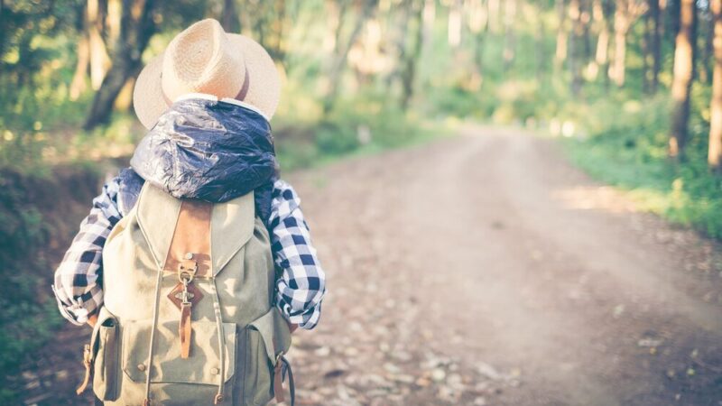 Wycieczki jednodniowe z Rzeszowa – idealny plan na weekend